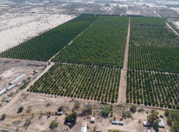 Terreno comercial · 3500000ha · Campo en Venta en La Costa de Hermosillo, Sonora
