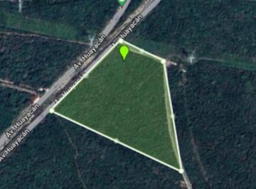 Terreno / Lote · 38000m² · Terreno Sobre Av Huayacan