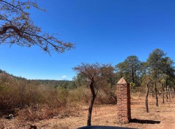 Terreno / Lote · 12900m² · Terreno en Venta en El Estuche