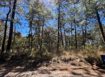Terreno / Lote · 1526m² · Terreno en Venta Pinares
