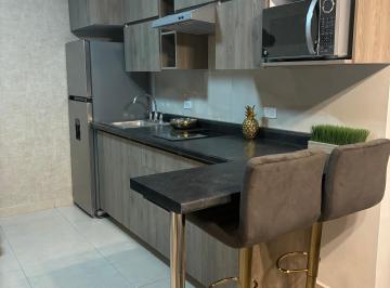 Departamento de 1 habitación, Guadalupe · Depa Loft Sin Estacionamiento