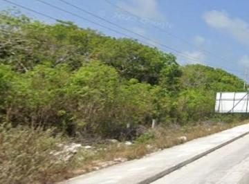 Terreno / Lote · 500m² · Terreno en Renta Carretera Federal 307 Cancún Tulum