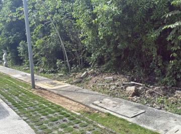 Terreno / Lote · 156m² · Se Vende Terrenso Paseos La Selva II Av 135 Poligono Sur