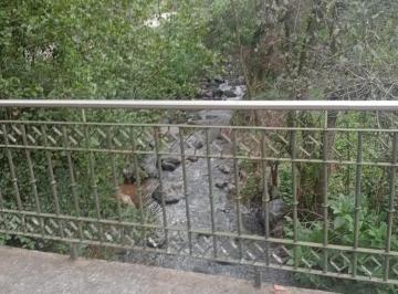 Terreno / Lote · 4500m² · Terreno en Venta