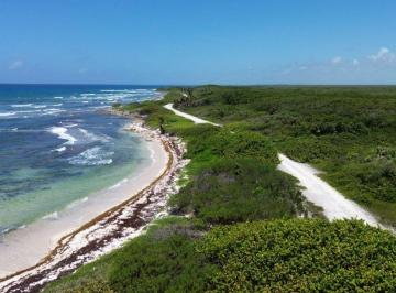 Terreno / Lote , Othón P. Blanco · Terreno a 80 m de La Playa en Mahahual