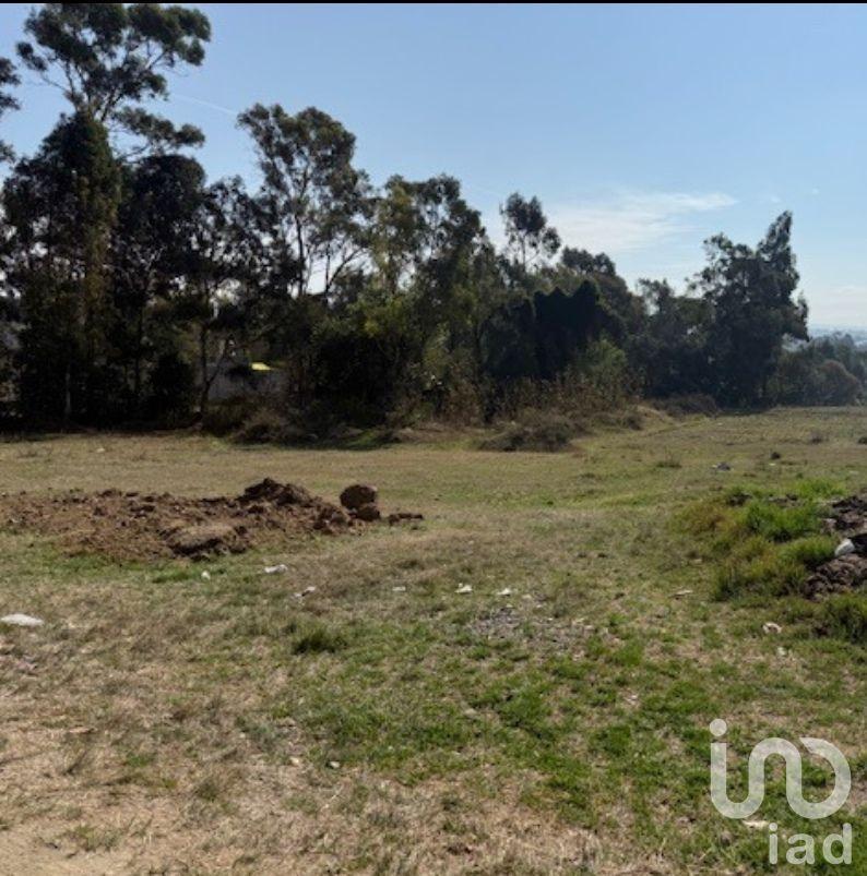 Terreno en Venta $995 m&sup2;, San Lorenzo Almecatla Oportunidad Desarrolladores