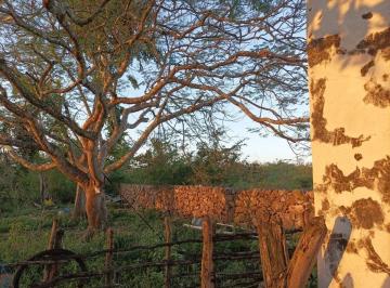 b992058fbbbde74c68f9187f342a1e734606cd486aa66fe118c054cb18de99aa · Remate de Rancho con Cenote en Tekit Perfecto Para Proyecto de Hotel Boutique