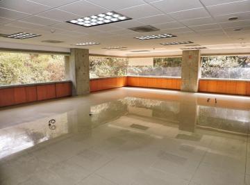 5a5581887bb94e626201d3ed276a4dfecc3538ac2ec148f744c006ae22b3d219 · Oficinas en Renta Muy Bien Ubicadas en Bosques