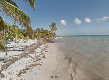 Terreno / Lote · 7828m² · Terreno con Frente de Playa en Punta Allen, Tulum, Quintana Roo