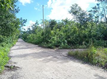 Terreno / Lote · 5331m² · Terreno en Venta en Cancún, Superficie 5,331.60 m².
