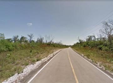 Terreno / Lote · 16919100ha · Rancho en Venta en José Ma. Morelos, 1,691 Ha