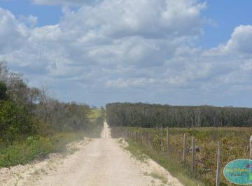 Terreno / Lote · 9405700ha · Rancho en Venta en Bacalar, Superficie 940.57 Ha