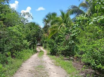 Terreno / Lote · 52600ha · Terreno en Venta en Puerto Morelos