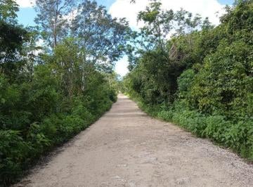 Terreno / Lote · 10218m² · Terreno en Venta en Cancún, Superficie 10,218.88 m²