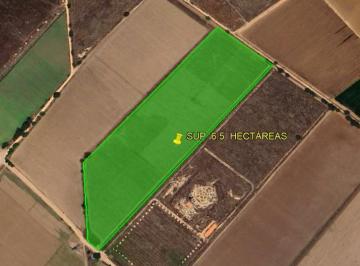 Terreno / Lote · 65000ha · Terreno en Venta en Tequisquiapan - Viñedos Sup. 6.5 Has Lagunita (Escriturado).