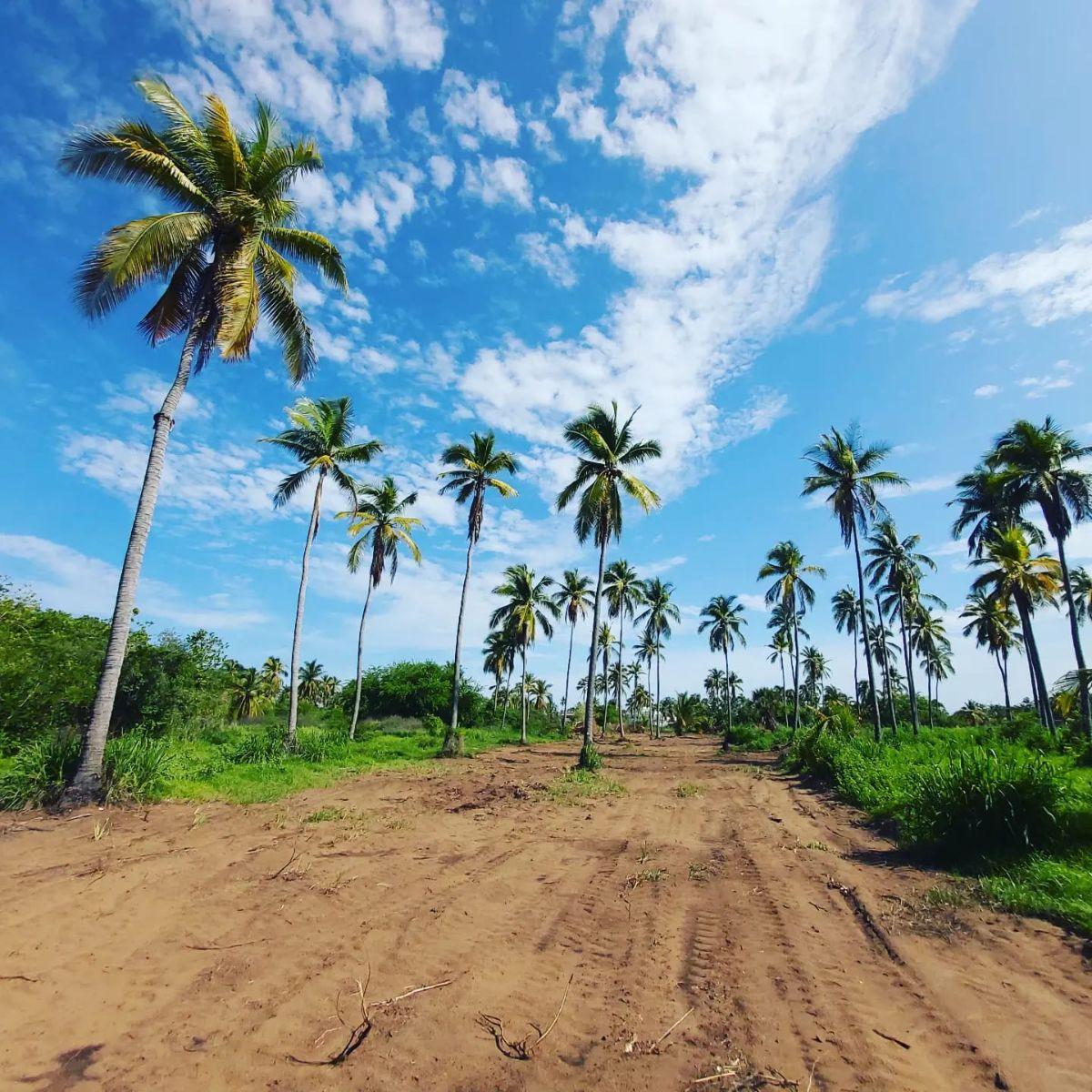 Land for Sale in Playa Blanca, Zihuatanejo
