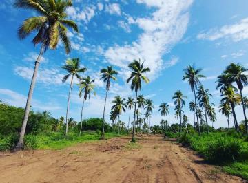 Terreno / Lote , Zihuatanejo de Azueta · Terreno en Venta en Playa Blanca, Zihuatanejo