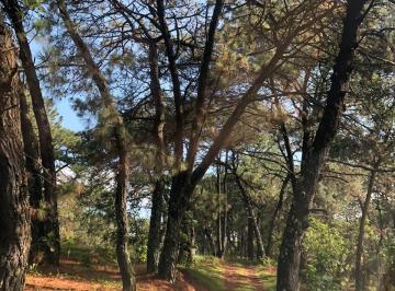 Terreno / Lote , Zapopan · Terreno en Venta Bosque La Primavera El Mirador de La Cuesta