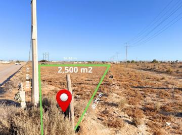 Terreno / Lote · 2500m² · Terreno Grande en Venta a 1 Cuadra de La Universidasd de Puerto Peñasco