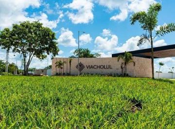 44791bf52538a3cc637a1b1068ea76d1ab8375d5b2ce48a1eea3de846946eb93 · Terreno en Venta en Viacholul - Zona Norte Merida