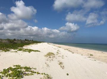 b5253862a2cc5330755ba14dde850fadda240f2b77309ba5801436ee0c75feb6 · Gran Terreno en Venta en Sisal con 30 m de Frente a Playa