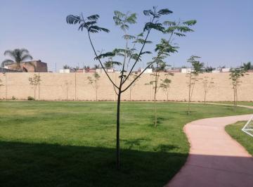 Terreno / Lote · 162m² · Terreno en La Tijera en Coto