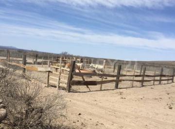Local comercial · 50000000m² · Rancho Ganadero en Coronado
