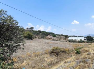 Terreno / Lote , Singuilucan · Terreno a Pie de Carretera 8 Hectáreas