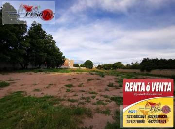 Terreno / Lote · 14000m² · Terreno - Centro