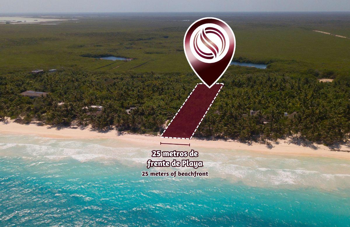 Terreno Frente Al Mar con 25 m de Playa en Zona Hotelera, en Venta