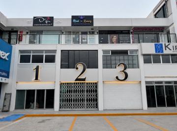 1 · Locales Comerciales en Coyoacán