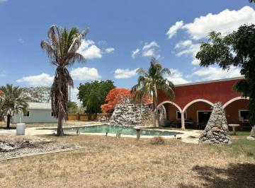 Terreno / Lote , Mérida · Terreno en Venta Estilo Hacienda en Dzitya Merida Yucatan