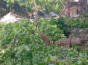 Terreno / Lote · 301m² · Terreno en Venta en La Calle 20 en Cozumel