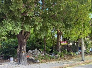 Terreno / Lote · 301m² · Terreno en Venta en La Calle 20 en Cozumel