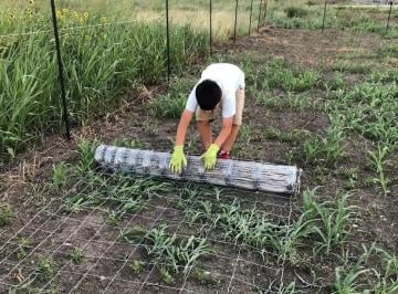 Terreno / Lote , Cadereyta Jiménez · Terreno Campestre Cadereyta Nl 1,000 m²
