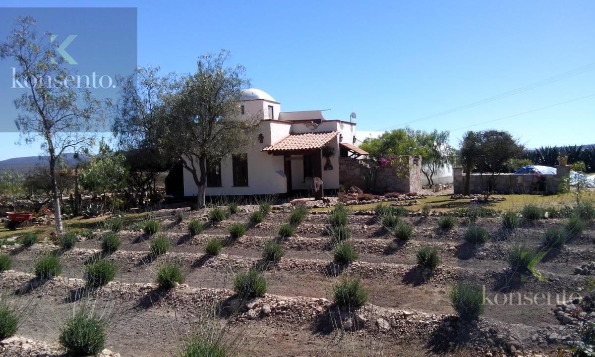 Lot for Sale in San Pedro de los Pozos