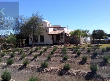Terreno / Lote · 3953m² · Terreno en Venta en San Pedro de Los Pozos