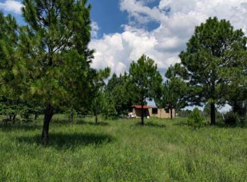 Casa en Venta de 2 habitaciones Ejido El Rincón (La Botija) · Cabaña de Descanso en Amealco de Bonfil con Terreno Arbolado de 1 Hectárea