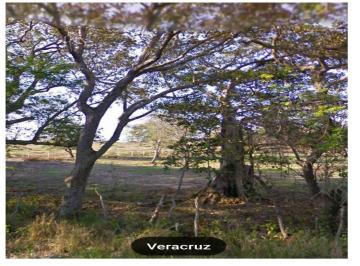 Terreno / Lote · 15000m² · Casa - Fraccionamiento Los Arcángeles