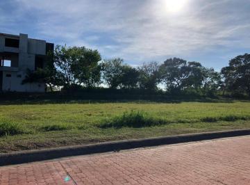 Terreno / Lote · 580m² · Terreno - Fraccionamiento Lagunas de Miralta