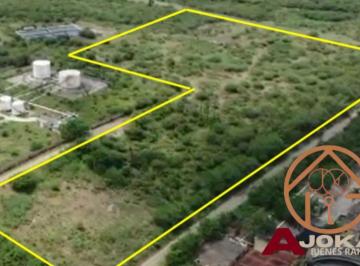 Terreno / Lote · 100000ha · Terreno - Altamira