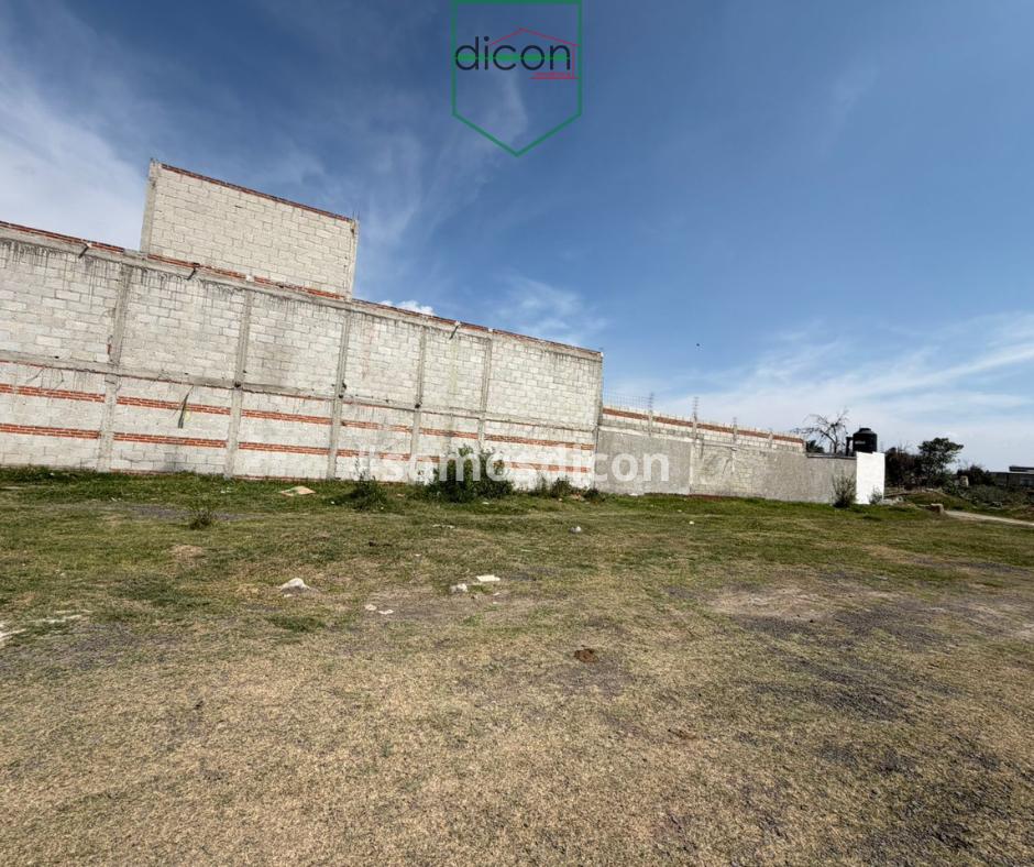 Land for Sale in La Trinidad