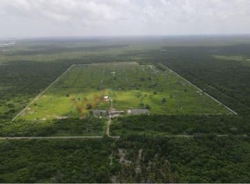 N/A · Terreno de 362 m² en Venta en Mérida, Yucatán, Ideal Para Desarrollo