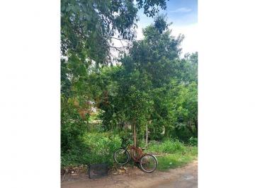 N/A · Venta de Terreno en Tulum, Magnífica Ubicación.