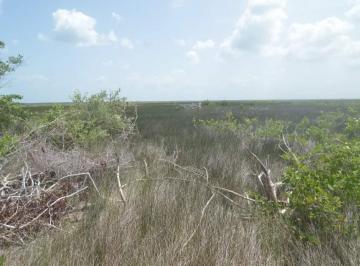 Terreno / Lote , Lázaro Cárdenas · Terreno Frente Al Mar