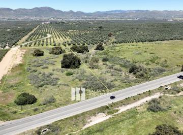 09c430aa22272553e12818305cc0335a3b4a8c19b1c9faa3ad93cc724f908d7b · 1.95 Ha en El Acceso a Sassi del Valle, Valle de Guadalupe