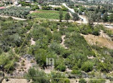 fa2301292adcac52b59d15bfcf49eeaed811f269a2bb0ebc32d4c6b1b0ce4350 · 3700 m² un Santuario Botánico y Vitivinícola en Valle de Guadalupe.