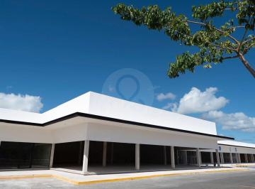 Local comercial · 310m² · 1 Estacionamiento · Local en Renta en Pueblo Chichi Suárez