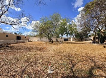 IMG_3640.JPG · Terreno Residencial en Venta en Pueblo Dzitya