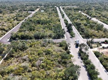 Terreno / Lote · 1236m² · Terreno Residencial en Venta en Hunucmá